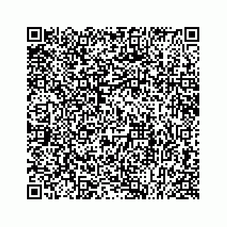 vCard 78613253181