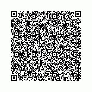 vCard 78613253240