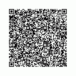 vCard 78613253279
