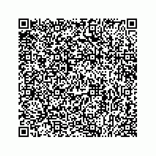 vCard 78613253299