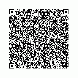vCard 78613253309