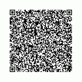 vCard 78613253329