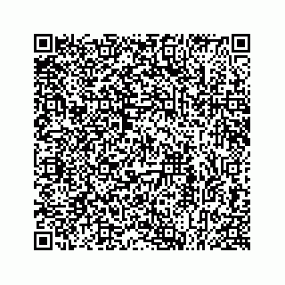 vCard 78613253379