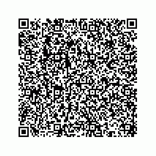 vCard 78613253380