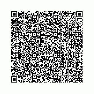 vCard 78613253381