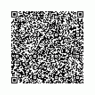 vCard 78613322411
