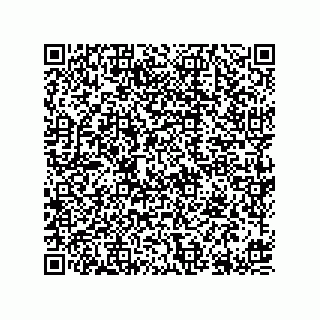vCard 78613390003