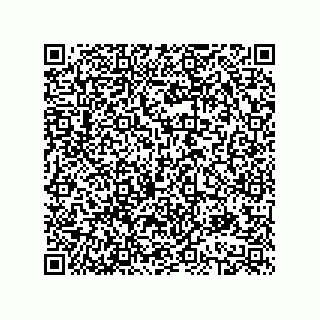 vCard 78613390085