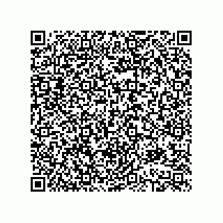 vCard 78613390117