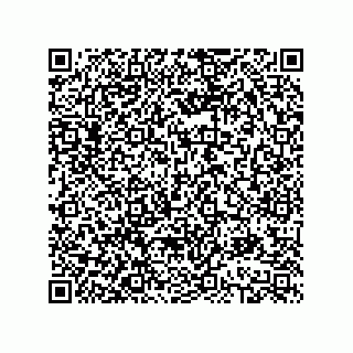 vCard 78613390217