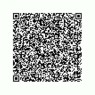 vCard 78613390290