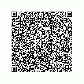 vCard 78613390301