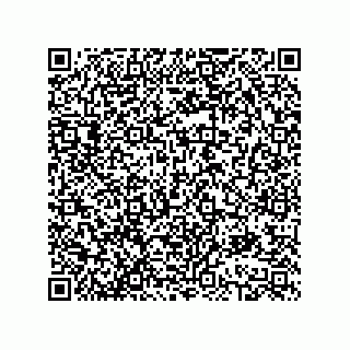 vCard 78613390333