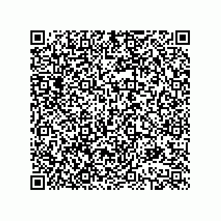 vCard 78613390338