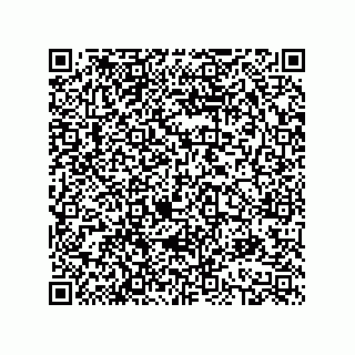 vCard 78613394729