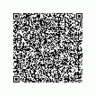 vCard 78613394741