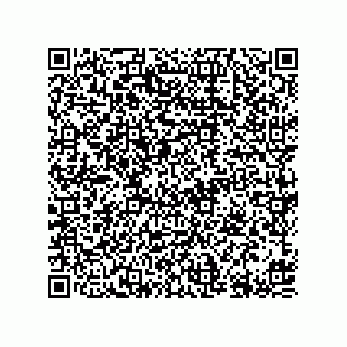 vCard 78613394742