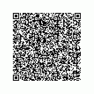 vCard 78613394881