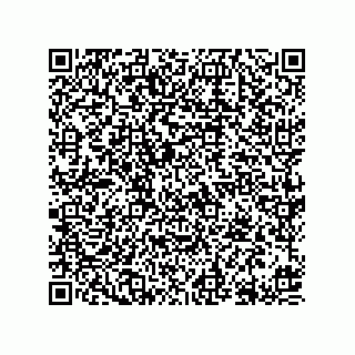 vCard 78613394983