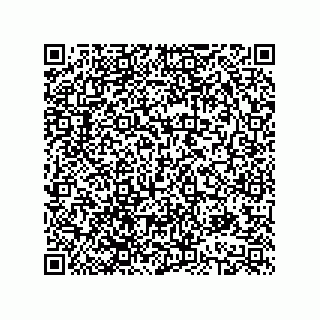 vCard 78613395003