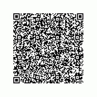 vCard 78613395008
