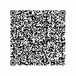 vCard 78613395017