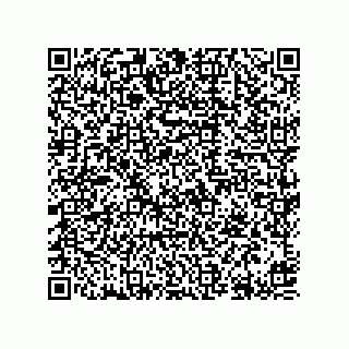 vCard 78613395031