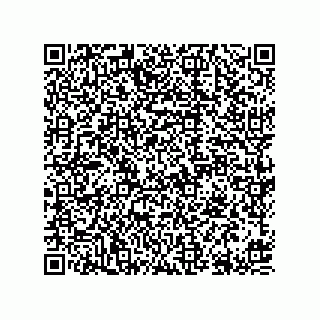vCard 78613395041