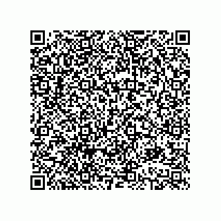 vCard 78613395081