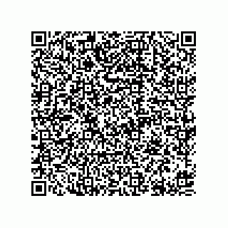 vCard 78613395100