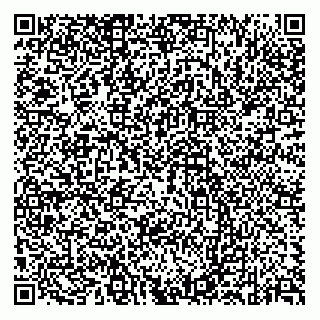 vCard 78613395110