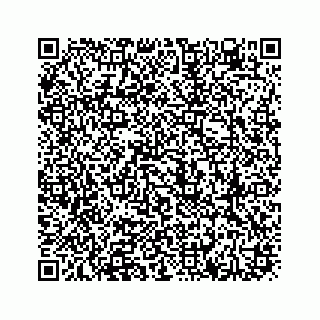 vCard 78613530039
