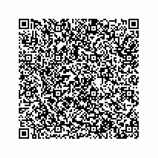 vCard 78613530208
