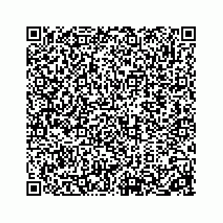vCard 78613530209