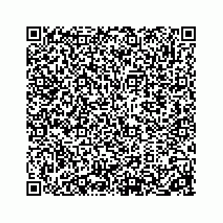 vCard 78613530293