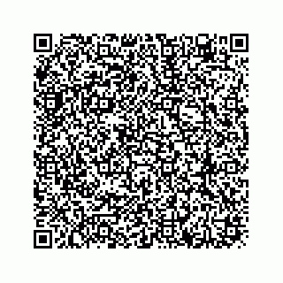 vCard 78613530299