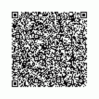 vCard 78613530332
