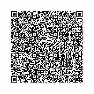vCard 78613530381