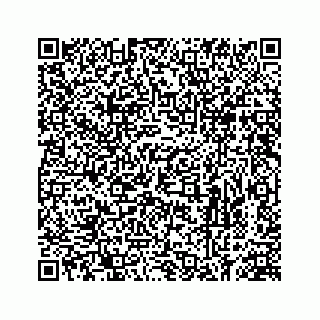 vCard 78613530385