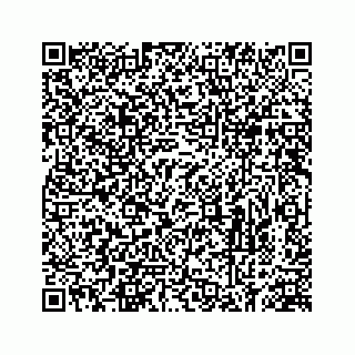 vCard 78613530387