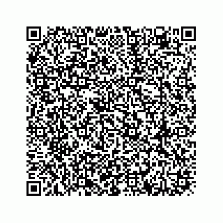 vCard 78613530389