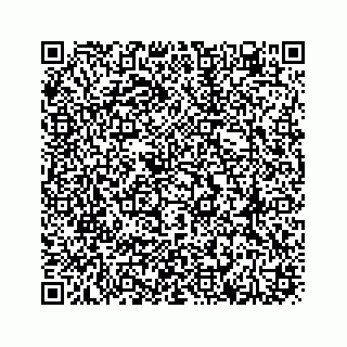 vCard 78613530399