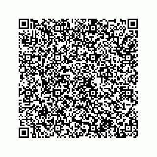 vCard 78613550079