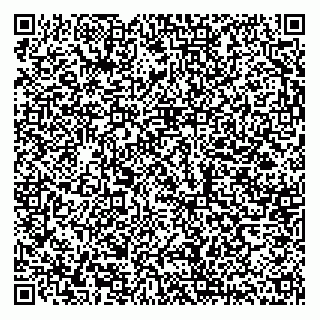 vCard 78613770001