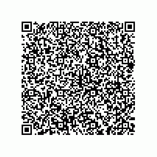 vCard 78613770011