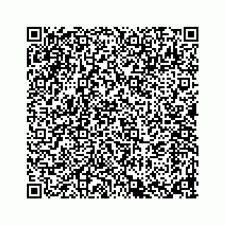 vCard 78615352384