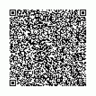 vCard 78615540011