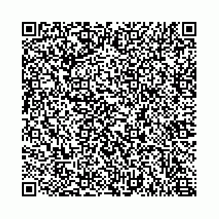 vCard 78615540013