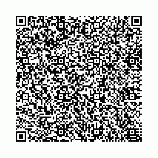 vCard 78615540041