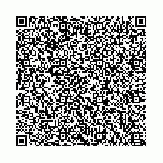 vCard 78615540063